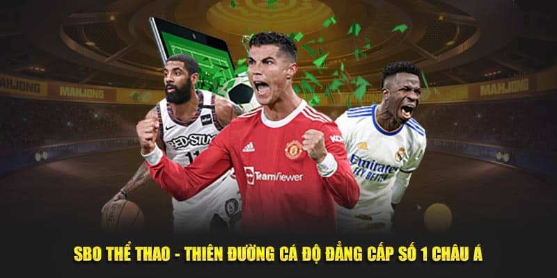 Kinh nghiệm chơi SBO Thể Thao từ bet thủ